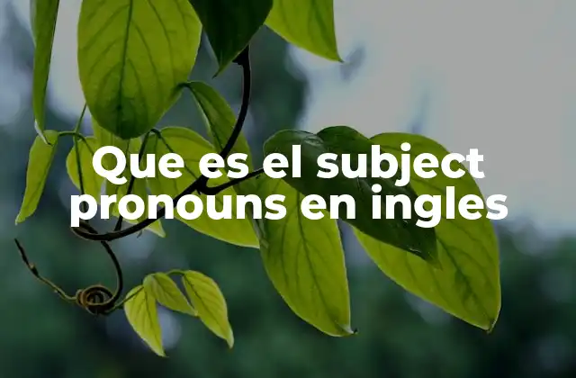 Que es el Subject Pronouns en Ingles