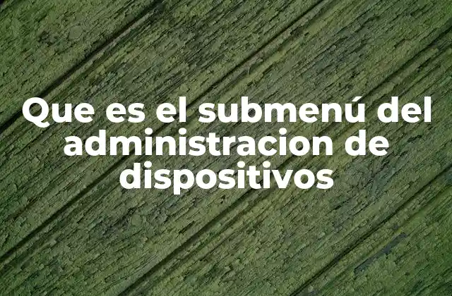 Que es el Submenú Del Administracion de Dispositivos
