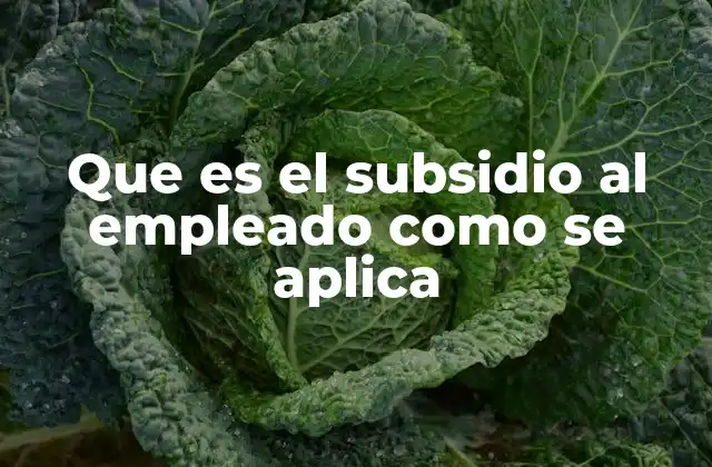 Que es el Subsidio Al Empleado como Se Aplica
