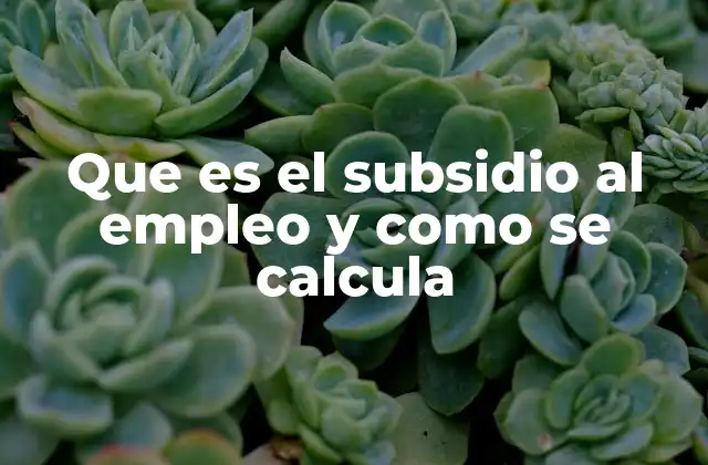 Que es el Subsidio Al Empleo y como Se Calcula