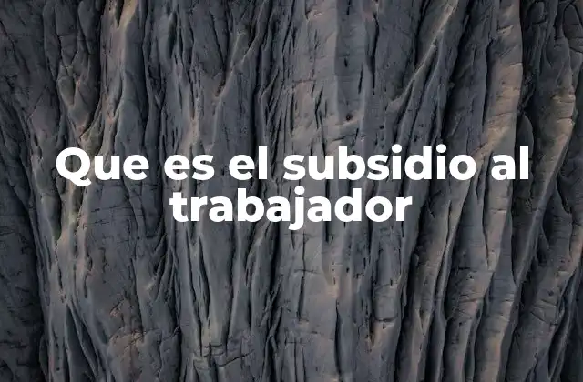 Que es el Subsidio Al Trabajador