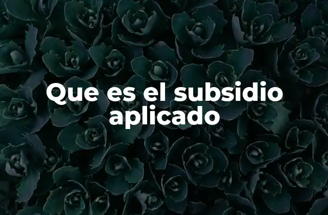 Que es el Subsidio Aplicado 2 El impacto económico de los subsidios aplicados en la sociedad