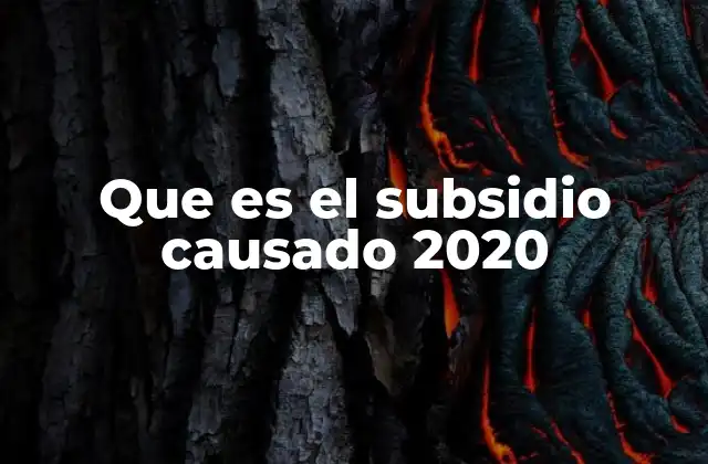 La evolución de las políticas de subsidios en Argentina
