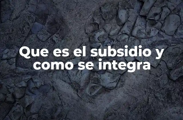 Que es el Subsidio y como Se Integra