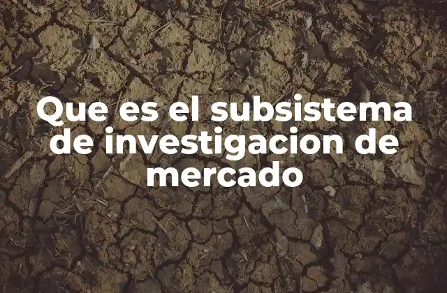 Que es el Subsistema de Investigacion de Mercado