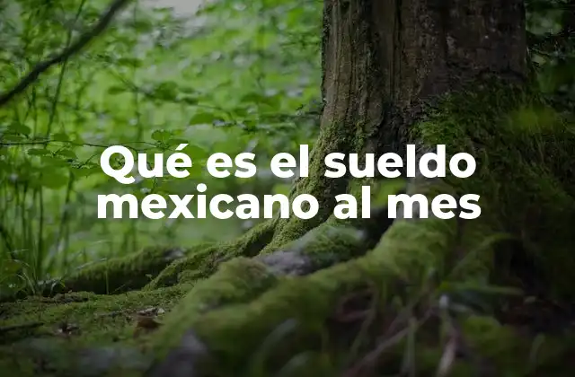 Qué es el Sueldo Mexicano Al Mes