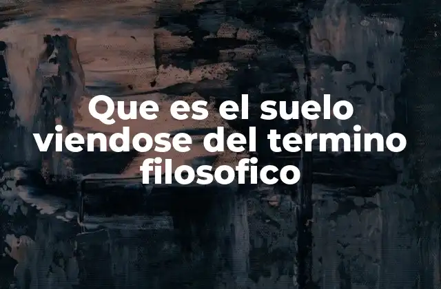Que es el Suelo Viendose Del Termino Filosofico