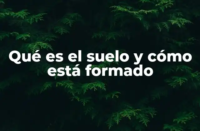 Qué es el Suelo y Cómo Está Formado