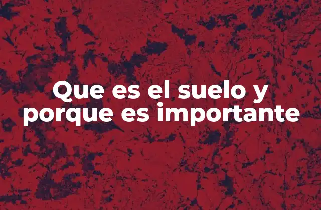 La base de la vida vegetal y animal