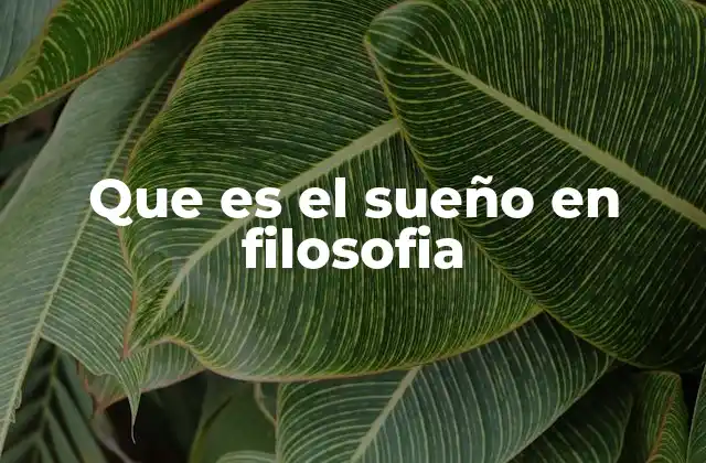 Que es el Sueño en Filosofia