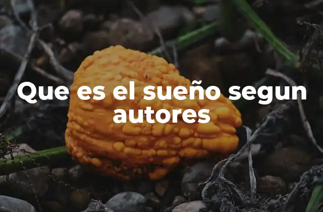 Que es el Sueño Segun Autores