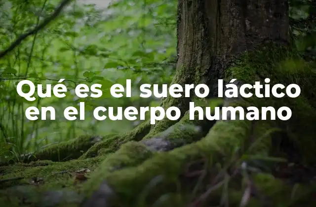 Qué es el Suero Láctico en el Cuerpo Humano
