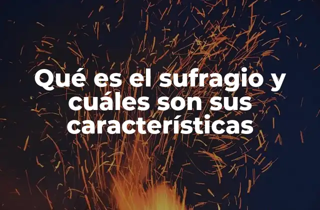 Qué es el Sufragio y Cuáles Son Sus Características