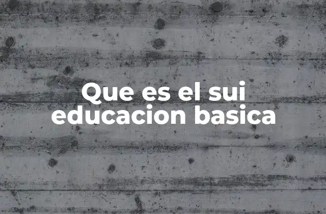 Que es el Sui Educacion Basica