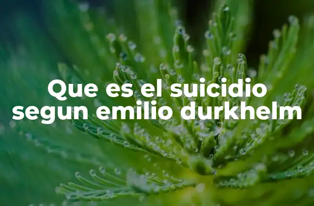 Que es el Suicidio Segun Emilio Durkhelm