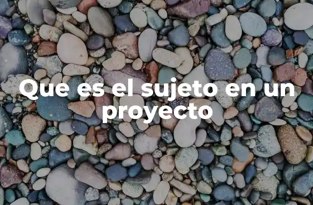 Que es el Sujeto en un Proyecto