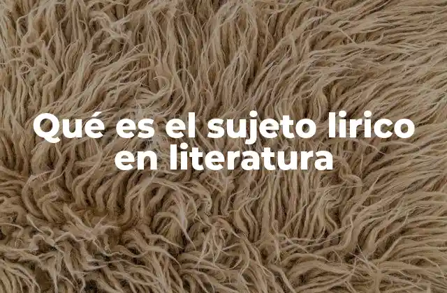 Qué es el Sujeto Lirico en Literatura