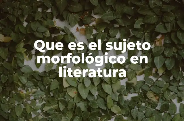La importancia del sujeto morfológico en el análisis literario