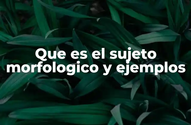 Que es el Sujeto Morfologico y Ejemplos