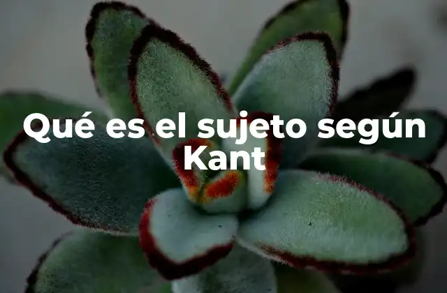 Qué es el Sujeto según Kant
