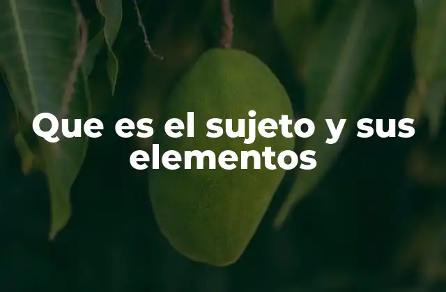Que es el Sujeto y Sus Elementos