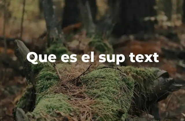 La importancia del texto superpuesto en la comunicación visual