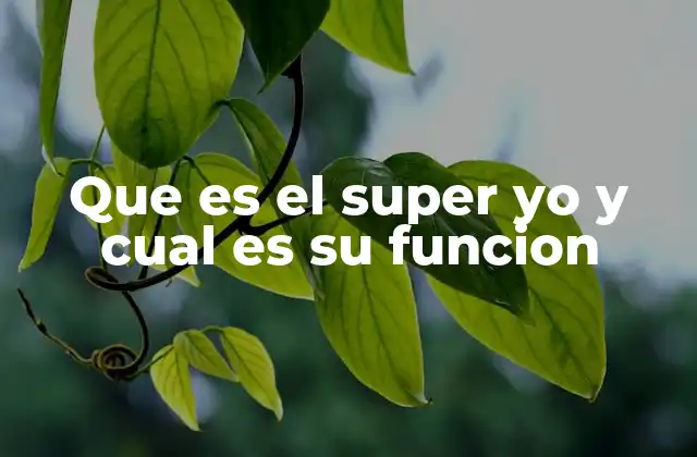 Que es el Super Yo y Cual es Su Funcion