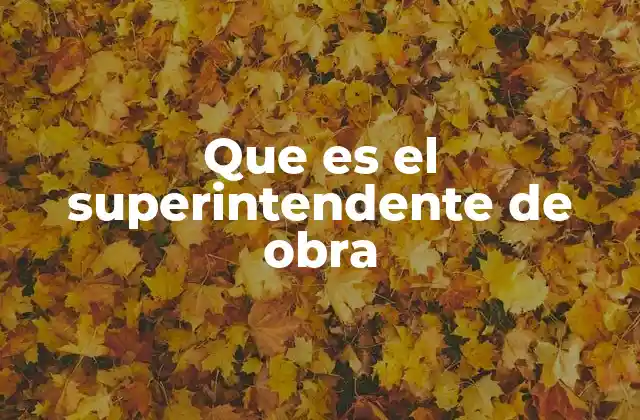 Que es el Superintendente de Obra