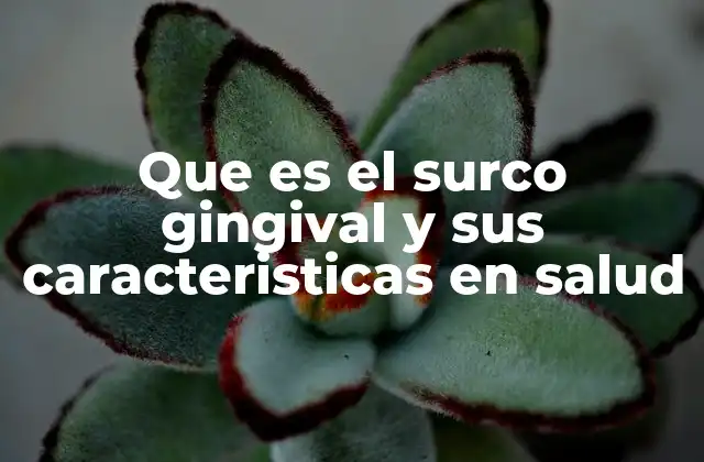 La importancia del surco gingival en la salud oral