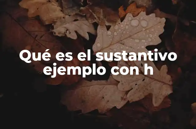 Qué es el Sustantivo Ejemplo con H 2 Características de los sustantivos con h en la escritura