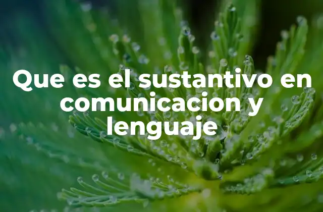 Que es el Sustantivo en Comunicacion y Lenguaje