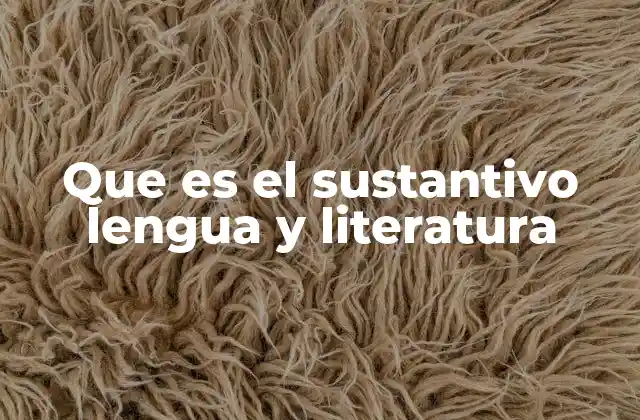 Que es el Sustantivo Lengua y Literatura