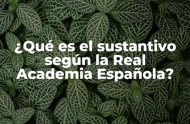¿qué es el Sustantivo según la Real Academia Española?