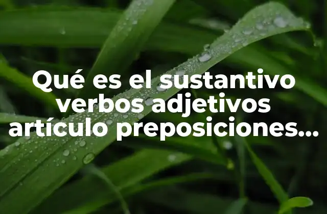 Qué es el Sustantivo Verbos Adjetivos Artículo Preposiciones Conjunciones