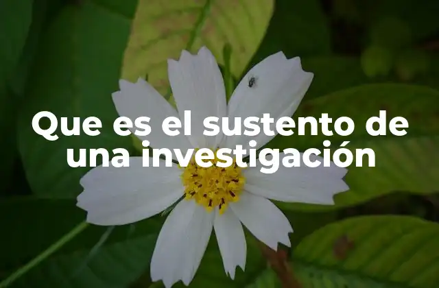 Que es el Sustento de una Investigación