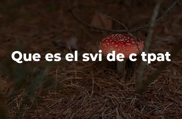 Que es el Svi de C Tpat