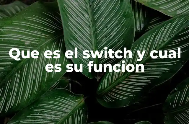 Que es el Switch y Cual es Su Funcion