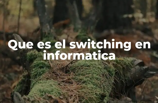 Que es el Switching en Informatica