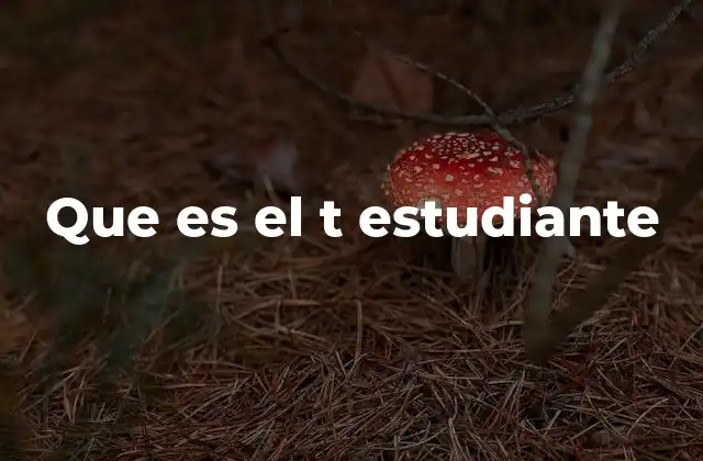 Que es el T Estudiante