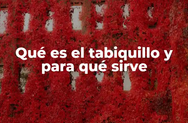 Qué es el Tabiquillo y para Qué Sirve