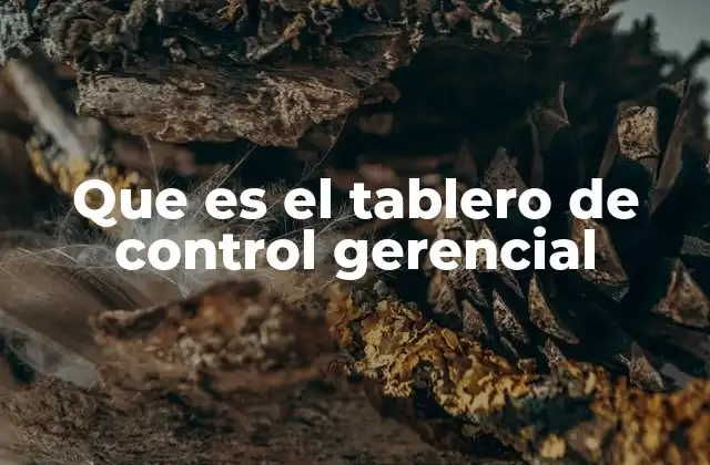 Que es el Tablero de Control Gerencial