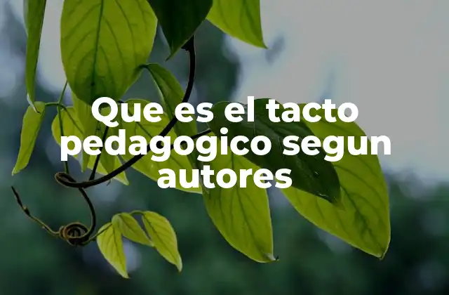 Que es el Tacto Pedagogico Segun Autores