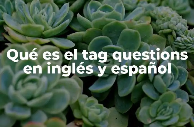 Qué es el Tag Questions en Inglés y Español