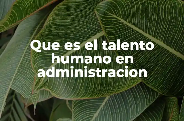 Que es el Talento Humano en Administracion