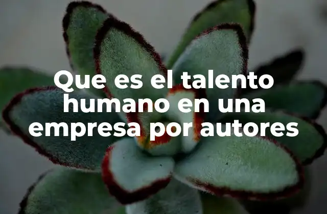 Que es el Talento Humano en una Empresa por Autores