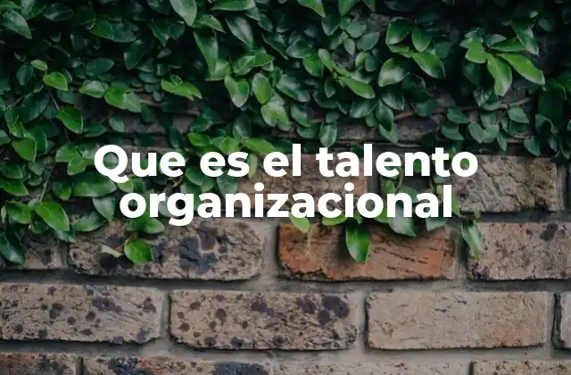 Que es el Talento Organizacional