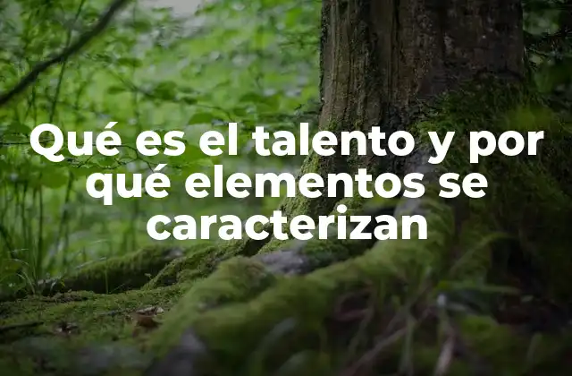 Qué es el Talento y por Qué Elementos Se Caracterizan