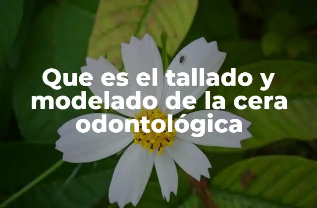 Que es el Tallado y Modelado de la Cera Odontológica