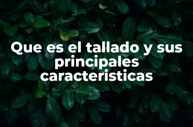 Que es el Tallado y Sus Principales Caracteristicas