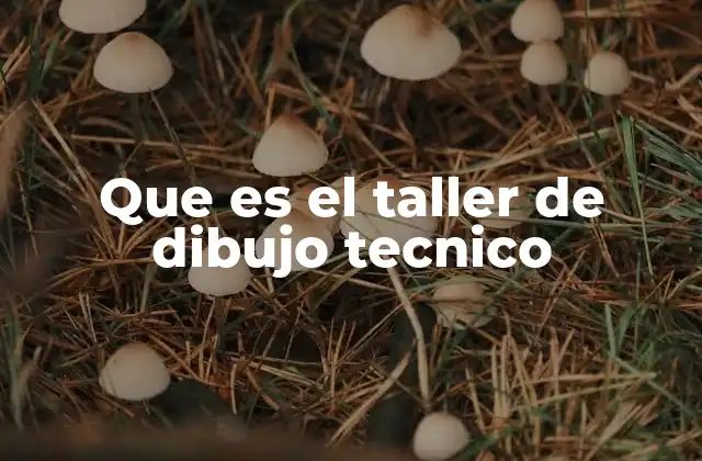 Que es el Taller de Dibujo Tecnico